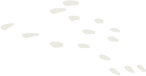 about-one-shape-10 about-one-shape-10