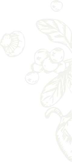 brand-two-shape-1 brand-two-shape-1