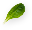 subscribe-one-shape-2 subscribe-one-shape-2